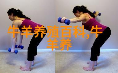 肉牛内科病辨胃阻塞