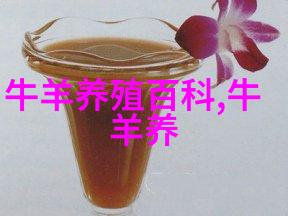 鲁梅克斯K-1喂水牛效果好