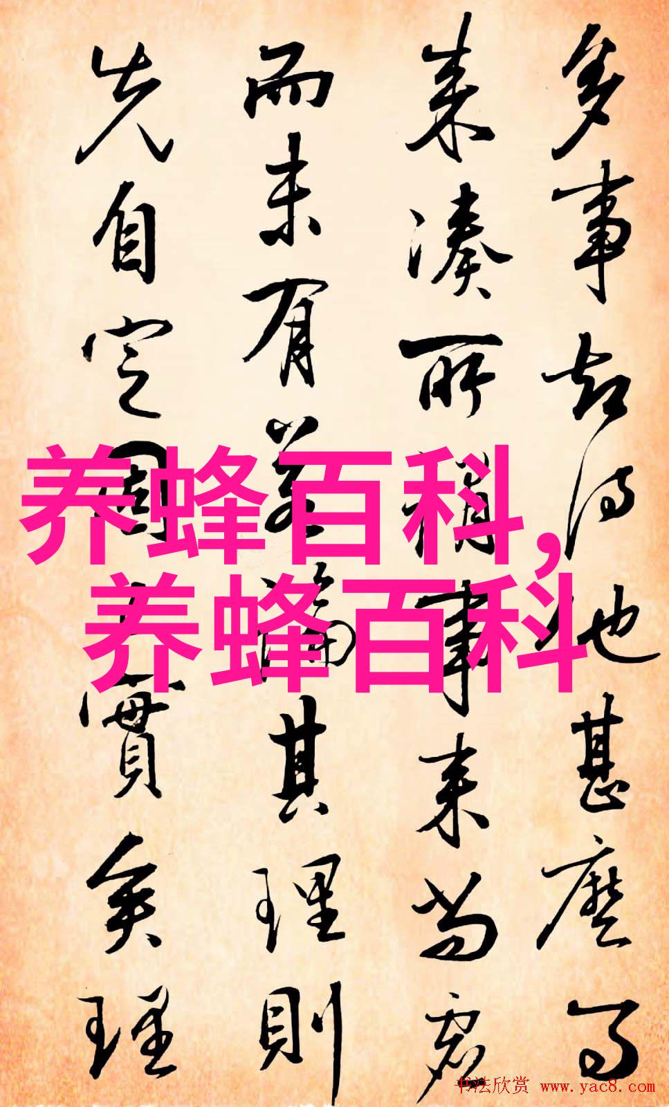 竹蜂有毒吗如何避免被竹蜂刺伤