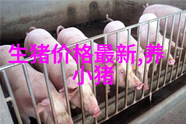 黄芪多糖注射液辅助治疗猪传染性胃肠炎及流行性腹泻等