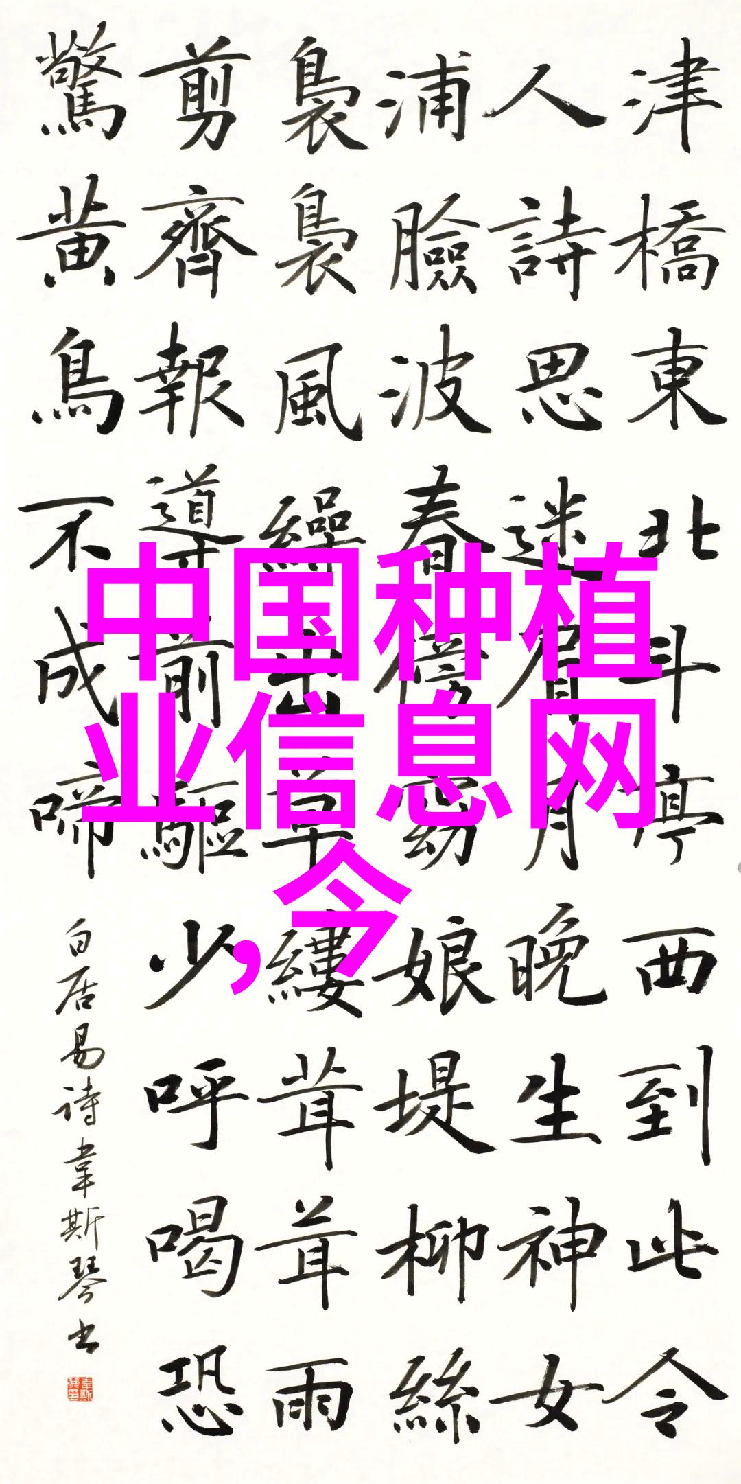 韭菜治仔猪贫血