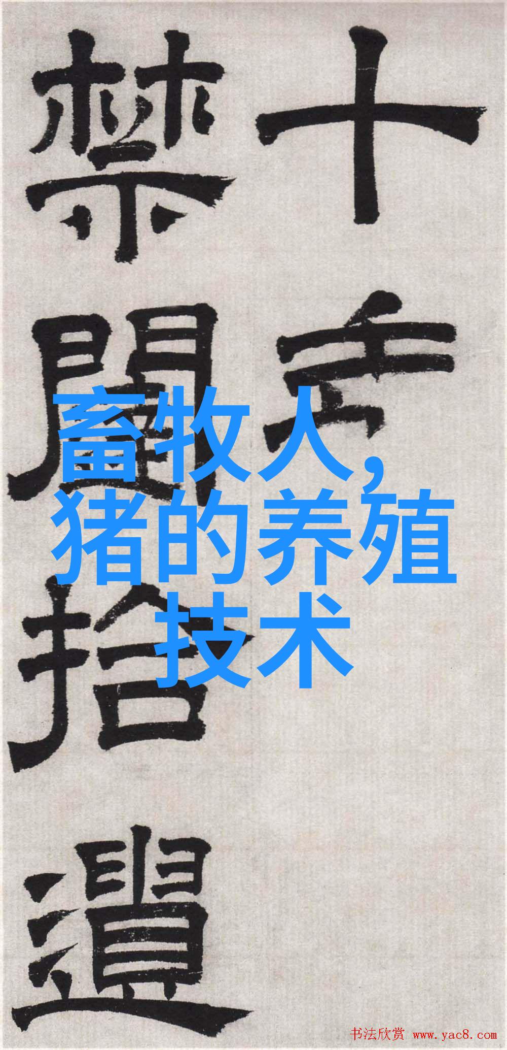 猪肚胀的简易疗法