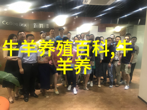 肉牛饲养管理措施的五种方法