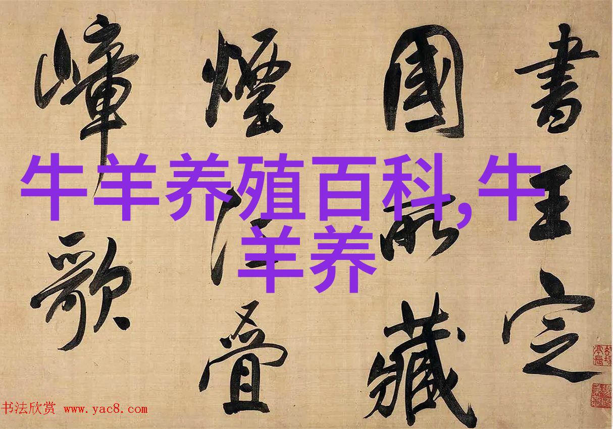 肉牛好育肥技术要配套