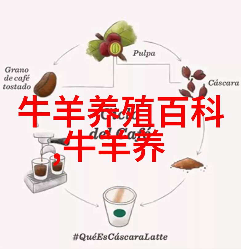 肉羊常见病防治