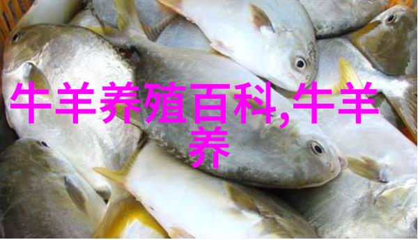创新技术助力养猪场微生物发酵与浮萍种植实现废水高效处理与资源增值