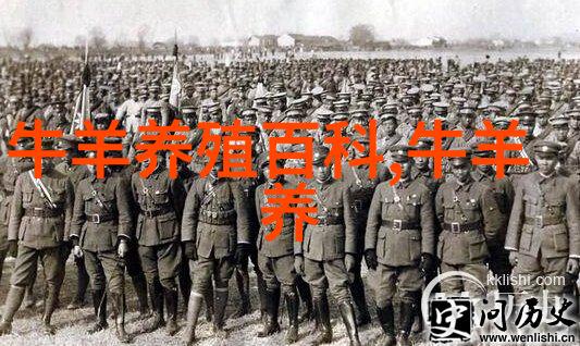 肉牛育肥饲养管理的要点