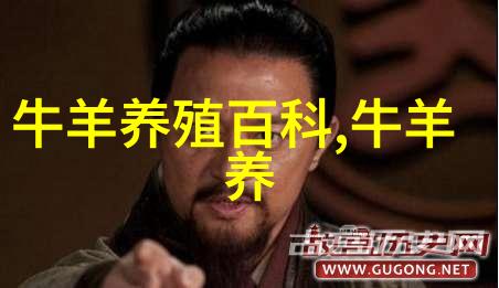 肉牛高效饲养管理技术(1)架子牛