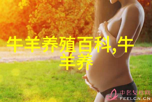饲养奶牛有秘诀