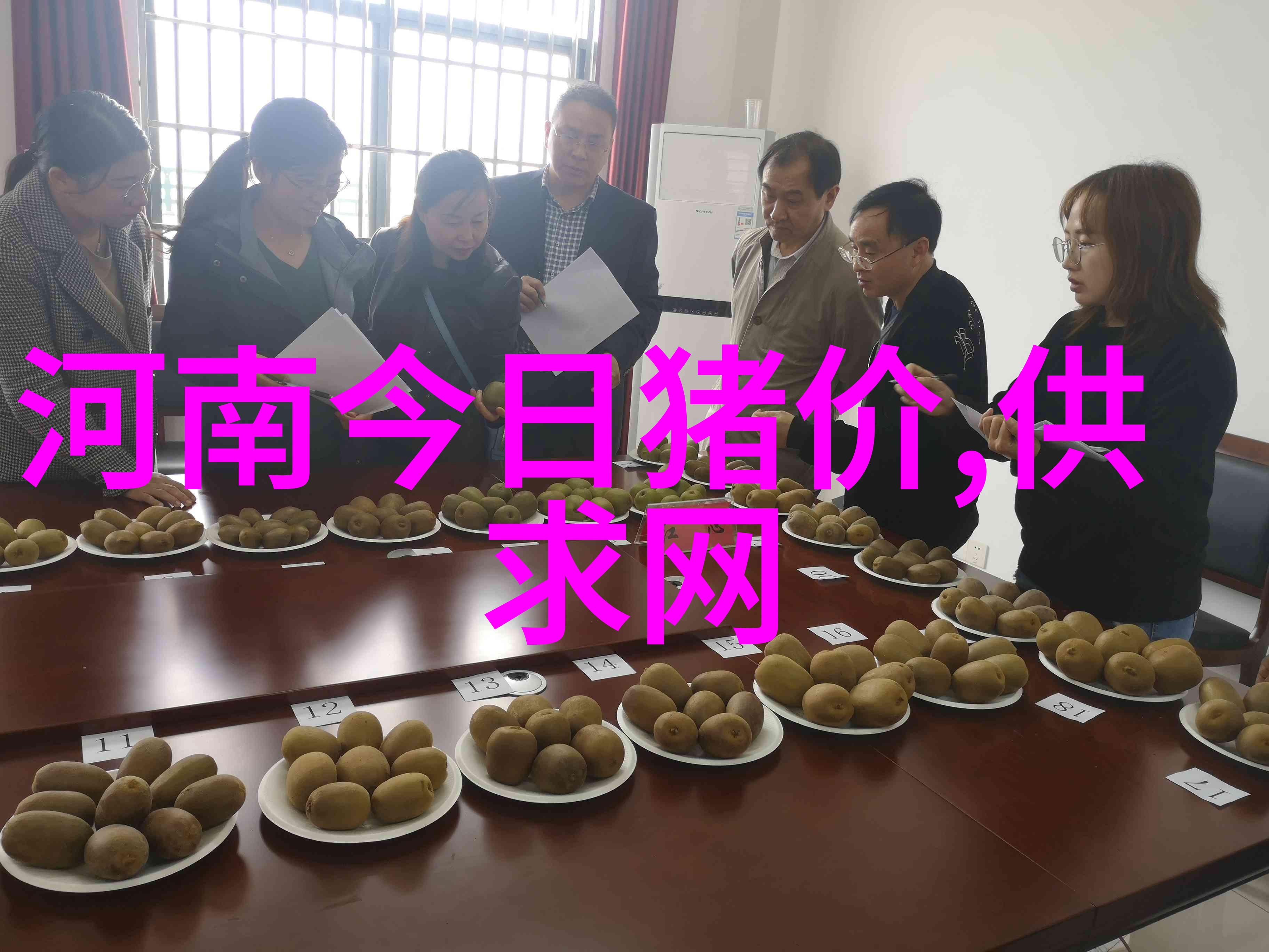 猪患肠痉挛注射鸡蛋清