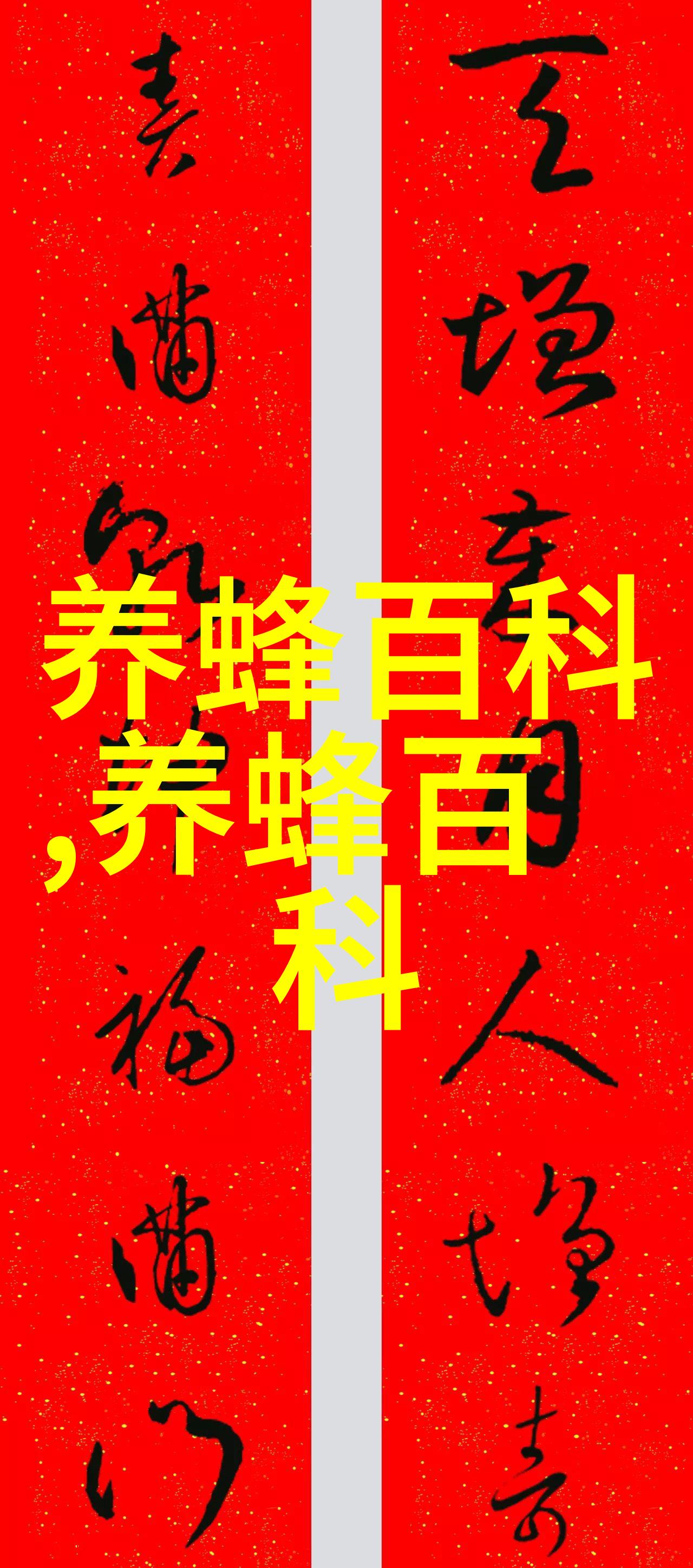 大黑蜂的介绍与品种鉴别