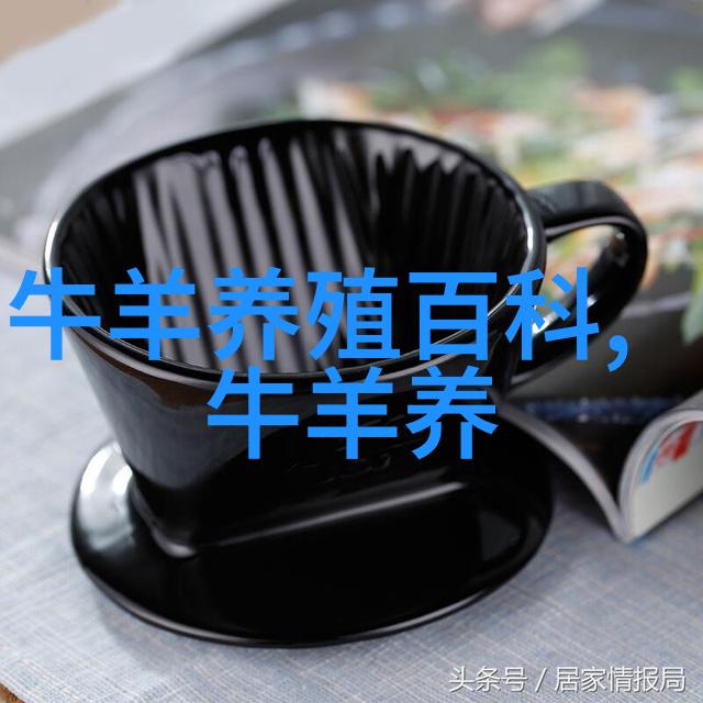 皮 埃 蒙 特 牛