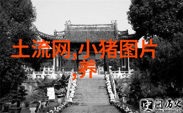 让母猪多胎高产有巧法