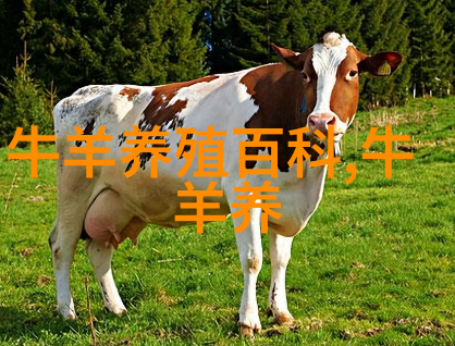 谷物淀粉加工处理及在奶牛生产中的应用